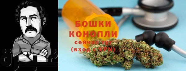 2c-b Бронницы