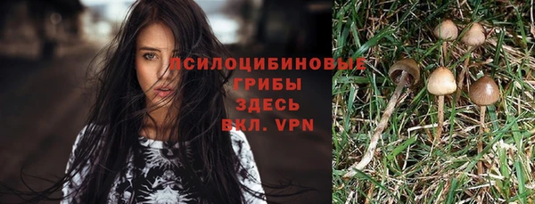 гашишное масло Слюдянка