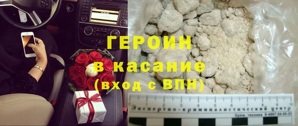 прущие грибы Верея